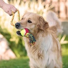 Игрушка канатная с ручкой и мячом, до 150 г, до 35 см, цвет МИКС  (артикул 3679617)  большой выбор товаров оптом и в розницу по низким ценам с доставкой