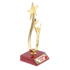 Кубок «Лучший муж», наградная фигура, люди со звездой, пластик - фото 8517539