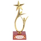 Кубок «Победитель по жизни», наградная фигура, люди со звездой, пластик - фото 8806656
