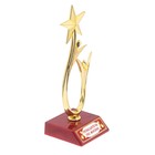 Кубок «Победитель по жизни», наградная фигура, люди со звездой, пластик - фото 8806657