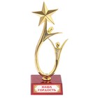 Кубок «Наша гордость», наградная фигура, люди со звездой, пластик - фото 320673858