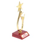 Кубок «Наша гордость», наградная фигура, люди со звездой, пластик - фото 8517541