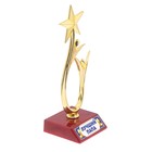 Кубок «Лучший папа», наградная фигура, люди со звездой, пластик - Фото 2