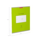 Тетрадь 18 листов в линейку, ErichKrause «Классика Bright», обложка мелованный картон, зелёная - Фото 4