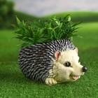 Декоративное кашпо для цветов «Ёжик», 25.5×16×13.5 см, полистоун - Фото 1