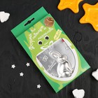 Набор для приготовления леденцов и мармелада «Зайчик», цвет МИКС - Фото 9