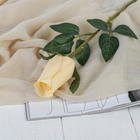 Цветы искусственные "Роза Карина" 4х46 см, кремовый - фото 10824588