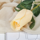 Цветы искусственные "Роза Карина" 4х46 см, кремовый - Фото 2
