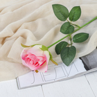 Цветы искусственные "Роза Аква" 5*40 см, розовый - Фото 1