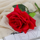 Цветы искусственные «Роза Гран При», 7×46 см, красные 3794241