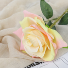 Цветы искусственные "Роза Гран При" 7х46 см, кремовый - Фото 2