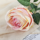 Цветы искусственные "Роза Охара" 8,5х56 см, розовый - Фото 2