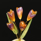 Сувенир «Крокусы», 5 цветков, 13×10 см, селенит - Фото 5