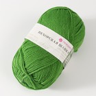 Пряжа "Пехорская шапка" 85% меринос.шерсть, 15% акрил 200м/100гр (434 зелёный) - фото 20874487