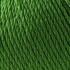 Пряжа "Пехорская шапка" 85% меринос.шерсть, 15% акрил 200м/100гр (434 зелёный) - фото 20874488