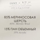 Пряжа "Пехорская шапка" 85% меринос.шерсть, 15% акрил 200м/100гр (434 зелёный) - фото 24009461