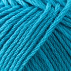 Пряжа "Пехорская шапка" 85% меринос.шерсть, 15% акрил 200м/100гр (583 бирюза) - фото 24407110