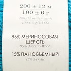 Пряжа "Пехорская шапка" 85% меринос.шерсть, 15% акрил 200м/100гр (583 бирюза) - фото 24419633