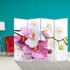 Ширма "Нежные орхидеи", 200 х 160 см - фото 298108978