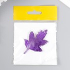 Молд пластик "Лист хризантемы малый" 6,5х4 см МИКС - Фото 5