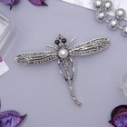 Брошь «Стрекоза» моно, цвет серый в черненом серебре - Фото 1