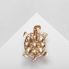 Брошь «Черепаха» с жемчужным панцирем, цвет белый в золоте - Фото 3