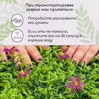 Декоративная панель, 60 × 40 см, «Цветы в пятилистнике», Greengo - Фото 11