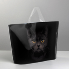 Пакет полиэтиленовый с петлевой ручкой «Черная кошка», 35 × 25 см - Фото 1