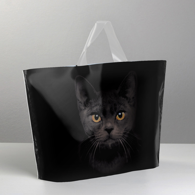 Пакет полиэтиленовый с петлевой ручкой «Черная кошка», 35 × 25 см