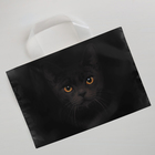 Пакет полиэтиленовый с петлевой ручкой «Черная кошка», 35 × 25 см - Фото 2