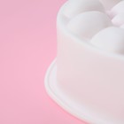 Форма для муссовых десертов и выпечки Доляна «Камешки», силикон, 19,5×5,5 см, цвет белый - Фото 4