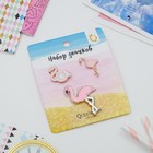 Набор значков «Фламинго» цвет розовый - Фото 4