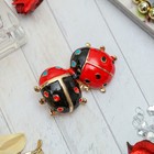 Брошь «Божьи коровки» парочка, цвет красно-чёрный в золоте - Фото 2