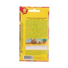 Семена Тыква крупноплодная "Кашевар", 2 г - Фото 4