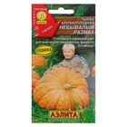 Семена Тыква крупноплодная "Небывалый размах", 2 г - Фото 1