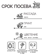 Семена цветов Астра «Пионовидная», смесь окрасок, 0.2 г, однолетник, «Аэлита» - Фото 2