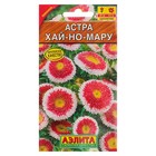 Семена цветов Астра "Хай-но-мару" помпонная, О, 0,1 г - Фото 5