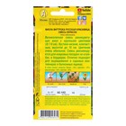 Семена цветов Виола "Русская красавица", 0,1 г - Фото 2