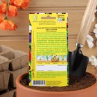 Семена цветов Виола "Русская красавица", 0,1 г - Фото 4