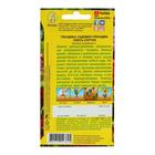 Семена цветов Гвоздика "Гренадин", турецкая, 0,05 г - Фото 2