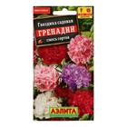 Семена цветов Гвоздика "Гренадин", турецкая, 0,05 г - Фото 3