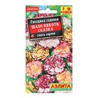 Семена цветов Гвоздика "Шабо Пикоти Сказка", смесь окрасок, О, 0,05 г - Фото 5