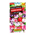 Семена цветов Горошек душистый "Нежные коготки", смесь окрасок, О, 0,5 г - Фото 1