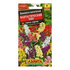 Семена цветов Кермек лимониум "Фантастический мир", смесь окрасок, О, 0,1 г - Фото 5
