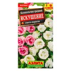 Семена цветов Колокольчик "Искушение", 0,2 г - Фото 1