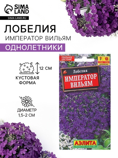 Семена цветов Лобелия «Император Вильям», 0.05 г, однолетник, «Аэлита»