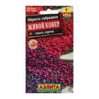 Семена цветов Обриета "Живой ковер", смесь окрасок, Мн, 0,05 г - Фото 3