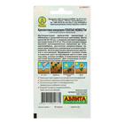 Семена цветов Хризантема махровая "Платье невесты", О, 0,05 г - Фото 2