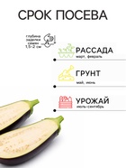Семена Баклажан «Мишутка», 0.2 г, раннеспелый, «Аэлита» - Фото 2