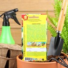 Семена Кабачок цукини «Мячик», 1 г, раннеспелый, «Аэлита» - Фото 2